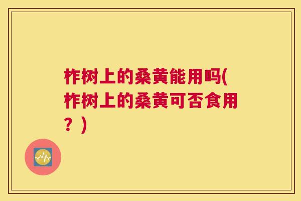 柞树上的桑黄能用吗(柞树上的桑黄可否食用?) 柞树上的桑黄能用吗(柞树上的桑黄可否食用?)