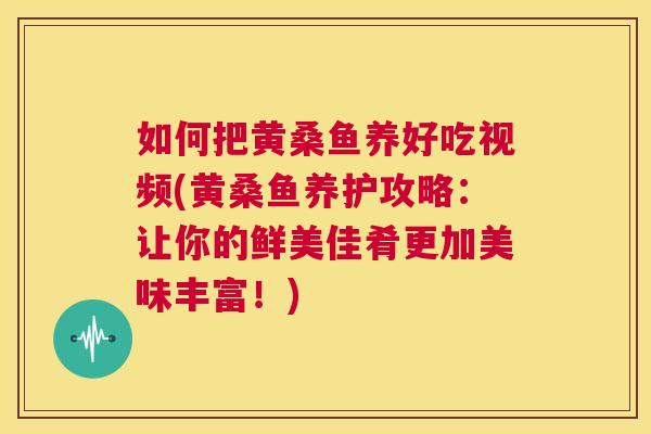 如何把黄桑鱼养好吃视频(黄桑鱼养护攻略:让你的鲜美佳肴更加美味丰富!) 如何把黄桑鱼养好吃视频(黄桑鱼养护攻略:让你的鲜美佳肴更加美味丰富!)