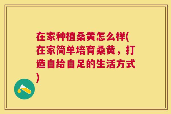 在家种植桑黄怎么样(在家简单培育桑黄,打造自给自足的生活方式) 在家种植桑黄怎么样(在家简单培育桑黄,打造自给自足的生活方式)