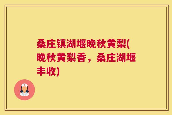 桑庄镇湖堰晚秋黄梨(晚秋黄梨香,桑庄湖堰丰收) 桑庄镇湖堰晚秋黄梨(晚秋黄梨香,桑庄湖堰丰收)