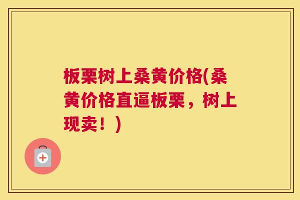 板栗树上桑黄价格(桑黄价格直逼板栗,树上现卖!) 板栗树上桑黄价格(桑黄价格直逼板栗,树上现卖!)