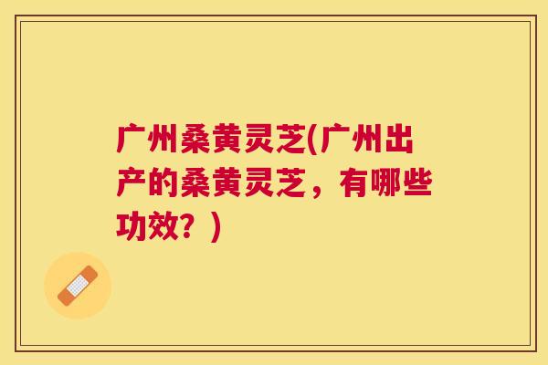 广州桑黄灵芝(广州出产的桑黄灵芝,有哪些功效?) 广州桑黄灵芝(广州出产的桑黄灵芝,有哪些功效?)