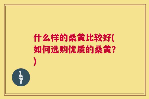 什么样的桑黄比较好(如何选购优质的桑黄？)