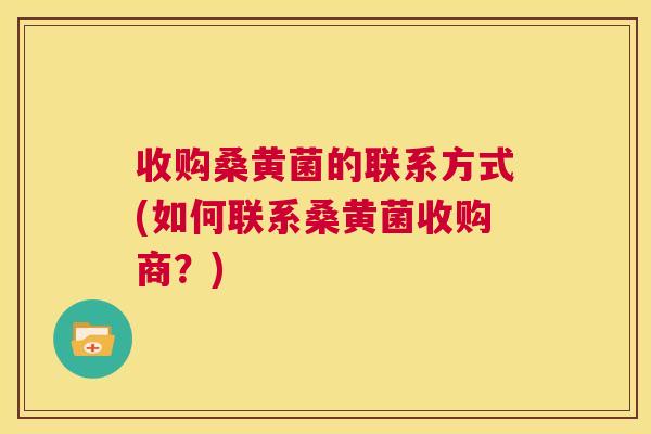 收购桑黄菌的联系方式(如何联系桑黄菌收购商?) 收购桑黄菌的联系方式(如何联系桑黄菌收购商?)