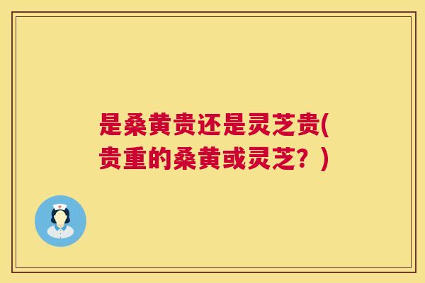 是桑黄贵还是灵芝贵(贵重的桑黄或灵芝?) 是桑黄贵还是灵芝贵(贵重的桑黄或灵芝?)