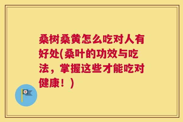 桑树桑黄怎么吃对人有好处(桑叶的功效与吃法，掌握这些才能吃对健康！)