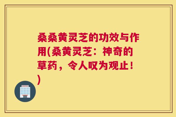 桑桑黄灵芝的功效与作用(桑黄灵芝:神奇的草药,令人叹为观止!) 桑桑黄灵芝的功效与作用(桑黄灵芝:神奇的草药,令人叹为观止!)