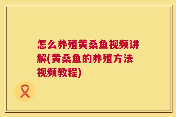 怎么养殖黄桑鱼视频讲解(黄桑鱼的养殖方法视频教程)