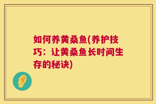 如何养黄桑鱼(养护技巧:让黄桑鱼长时间生存的秘诀) 如何养黄桑鱼(养护技巧:让黄桑鱼长时间生存的秘诀)