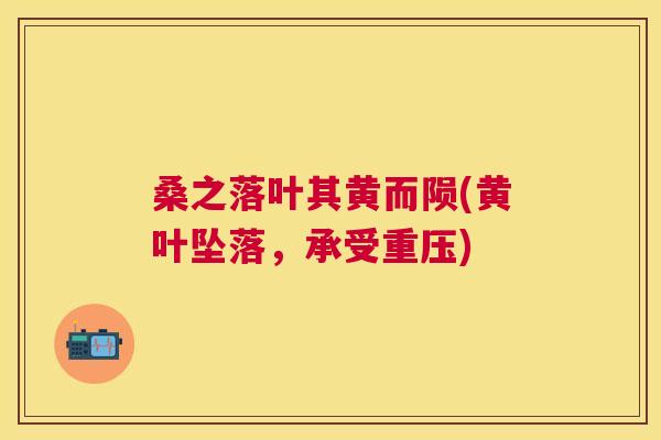 桑之落叶其黄而陨(黄叶坠落,承受重压) 桑之落叶其黄而陨(黄叶坠落,承受重压)