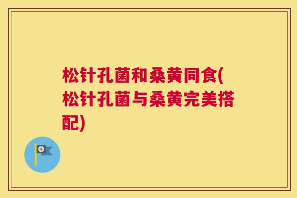 松针孔菌和桑黄同食(松针孔菌与桑黄完美搭配) 松针孔菌和桑黄同食(松针孔菌与桑黄完美搭配)