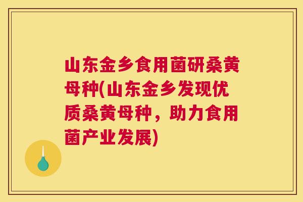 山东金乡食用菌研桑黄母种(山东金乡发现优质桑黄母种，助力食用菌产业发展)