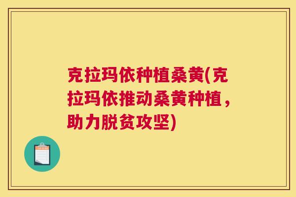 克拉玛依种植桑黄(克拉玛依推动桑黄种植,助力脱贫攻坚) 克拉玛依种植桑黄(克拉玛依推动桑黄种植,助力脱贫攻坚)