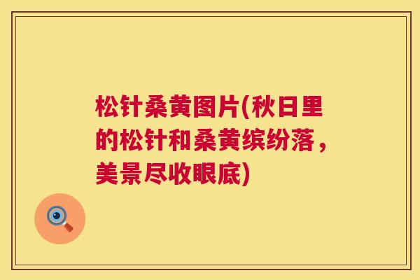 松针桑黄图片(秋日里的松针和桑黄缤纷落,美景尽收眼底) 松针桑黄图片(秋日里的松针和桑黄缤纷落,美景尽收眼底)