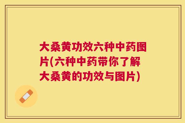 大桑黄功效六种图片(六种带你了解大桑黄的功效与图片)