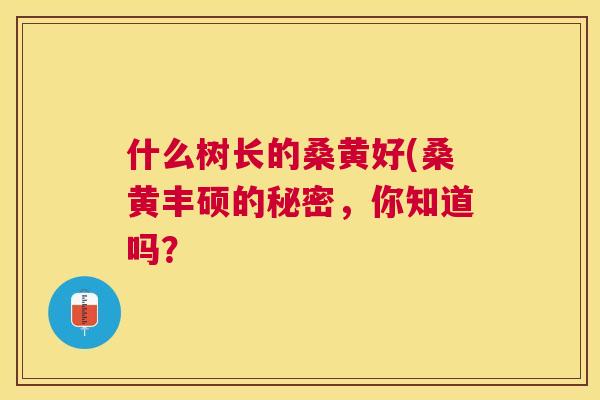 什么树长的桑黄好(桑黄丰硕的秘密,你知道吗? 什么树长的桑黄好(桑黄丰硕的秘密,你知道吗?