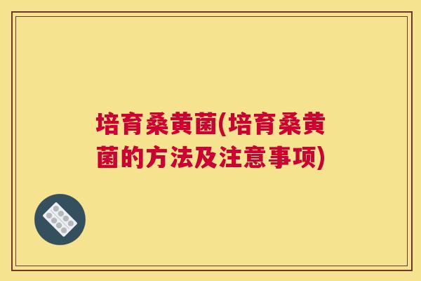 培育桑黄菌(培育桑黄菌的方法及注意事项) 培育桑黄菌(培育桑黄菌的方法及注意事项)
