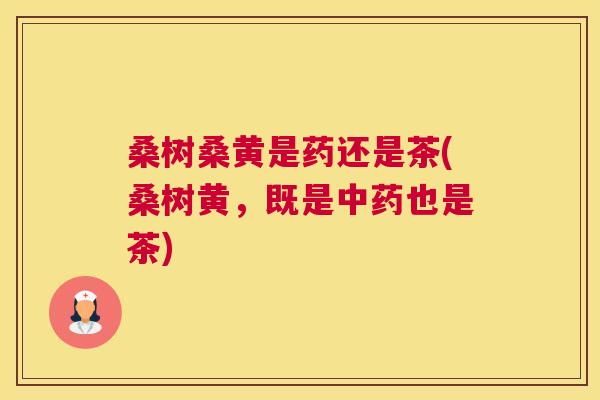 桑树桑黄是药还是茶(桑树黄,既是也是茶) 桑树桑黄是药还是茶(桑树黄,既是也是茶)