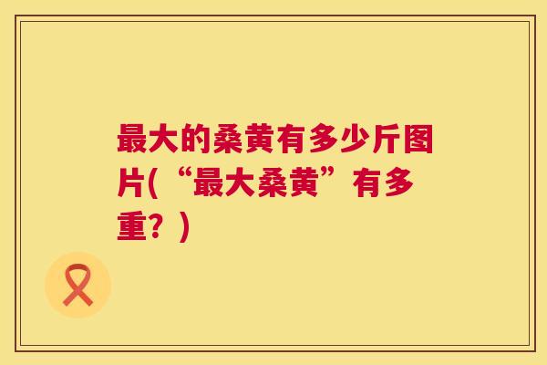 大的桑黄有多少斤图片(“大桑黄”有多重?) 大的桑黄有多少斤图片(“大桑黄”有多重?)