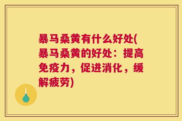 暴马桑黄有什么好处(暴马桑黄的好处:提高力,促进消化,缓解疲劳) 暴马桑黄有什么好处(暴马桑黄的好处:提高力,促进消化,缓解疲劳)