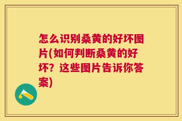 怎么识别桑黄的好坏图片(如何判断桑黄的好坏?这些图片告诉你答案) 怎么识别桑黄的好坏图片(如何判断桑黄的好坏?这些图片告诉你答案)