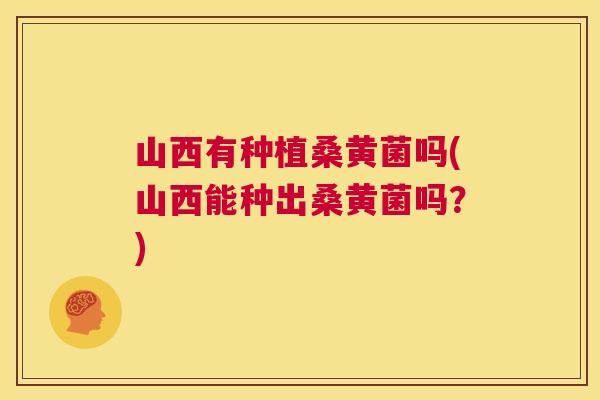 山西有种植桑黄菌吗(山西能种出桑黄菌吗？)