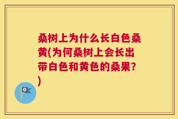 桑树上为什么长白色桑黄(为何桑树上会长出带白色和黄色的桑果?) 桑树上为什么长白色桑黄(为何桑树上会长出带白色和黄色的桑果?)