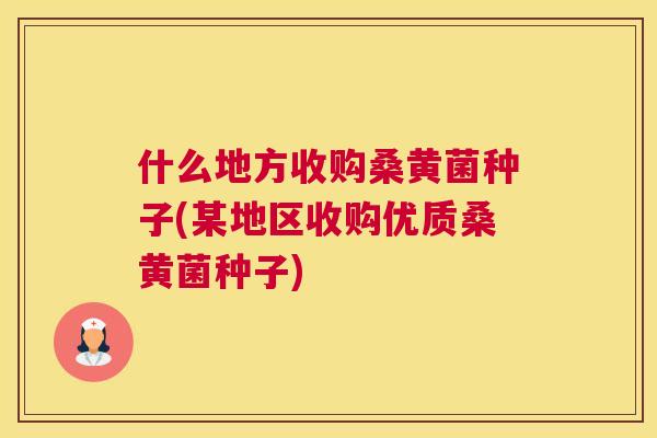 什么地方收购桑黄菌种子(某地区收购优质桑黄菌种子) 什么地方收购桑黄菌种子(某地区收购优质桑黄菌种子)