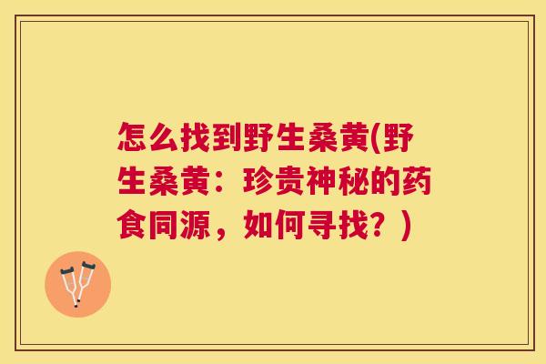 怎么找到野生桑黄(野生桑黄:珍贵神秘的药食同源,如何寻找?) 怎么找到野生桑黄(野生桑黄:珍贵神秘的药食同源,如何寻找?)
