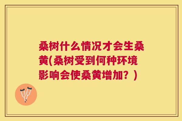 桑树什么情况才会生桑黄(桑树受到何种环境影响会使桑黄增加?) 桑树什么情况才会生桑黄(桑树受到何种环境影响会使桑黄增加?)