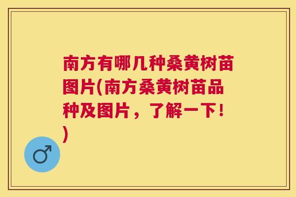 南方有哪几种桑黄树苗图片(南方桑黄树苗品种及图片,了解一下!) 南方有哪几种桑黄树苗图片(南方桑黄树苗品种及图片,了解一下!)