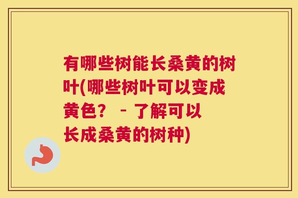 有哪些树能长桑黄的树叶(哪些树叶可以变成黄色? - 了解可以长成桑黄的树种) 有哪些树能长桑黄的树叶(哪些树叶可以变成黄色? - 了解可以长成桑黄的树种)