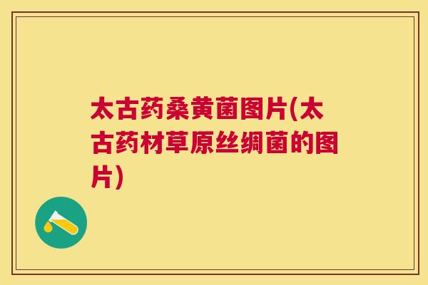 太古药桑黄菌图片(太古药材草原丝绸菌的图片) 太古药桑黄菌图片(太古药材草原丝绸菌的图片)
