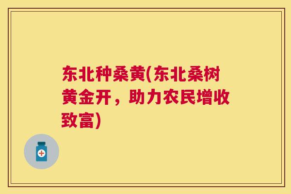 东北种桑黄(东北桑树黄金开,助力农民增收致富) 东北种桑黄(东北桑树黄金开,助力农民增收致富)