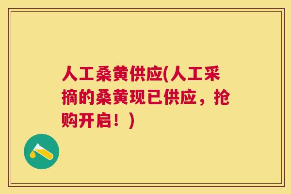 人工桑黄供应(人工采摘的桑黄现已供应,抢购开启!) 人工桑黄供应(人工采摘的桑黄现已供应,抢购开启!)