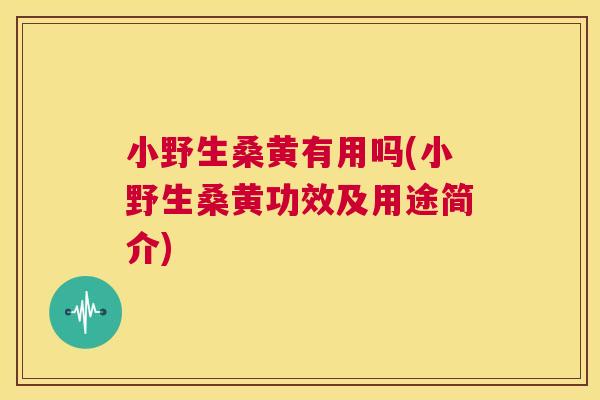 小野生桑黄有用吗(小野生桑黄功效及用途简介) 小野生桑黄有用吗(小野生桑黄功效及用途简介)