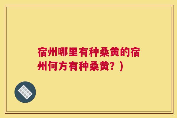 宿州哪里有种桑黄的宿州何方有种桑黄?) 宿州哪里有种桑黄的宿州何方有种桑黄?)
