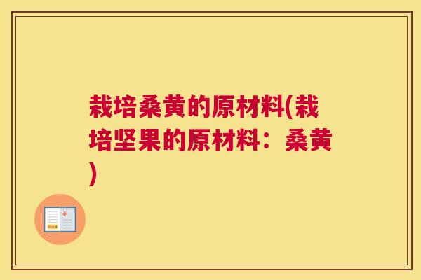 栽培桑黄的原材料(栽培坚果的原材料:桑黄) 栽培桑黄的原材料(栽培坚果的原材料:桑黄)