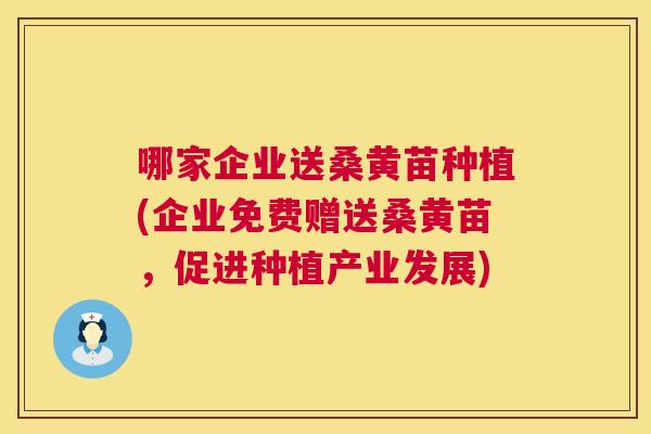 哪家企业送桑黄苗种植(企业免费赠送桑黄苗,促进种植产业发展) 哪家企业送桑黄苗种植(企业免费赠送桑黄苗,促进种植产业发展)