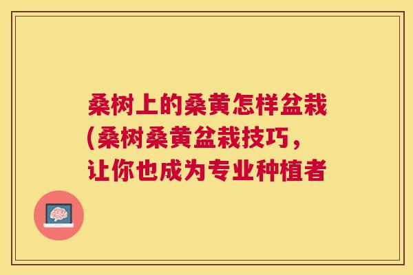桑树上的桑黄怎样盆栽(桑树桑黄盆栽技巧,让你也成为专业种植者 桑树上的桑黄怎样盆栽(桑树桑黄盆栽技巧,让你也成为专业种植者