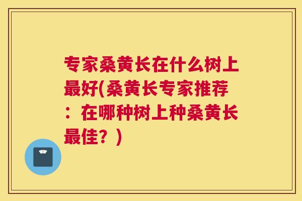 专家桑黄长在什么树上好(桑黄长专家推荐:在哪种树上种桑黄长佳?) 专家桑黄长在什么树上好(桑黄长专家推荐:在哪种树上种桑黄长佳?)