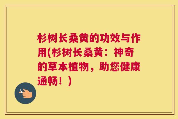 杉树长桑黄的功效与作用(杉树长桑黄:神奇的草本植物,助您健康通畅!) 杉树长桑黄的功效与作用(杉树长桑黄:神奇的草本植物,助您健康通畅!)