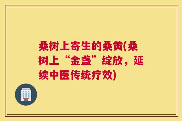 桑树上寄生的桑黄(桑树上“金盏”绽放,延续中医传统疗效) 桑树上寄生的桑黄(桑树上“金盏”绽放,延续中医传统疗效)