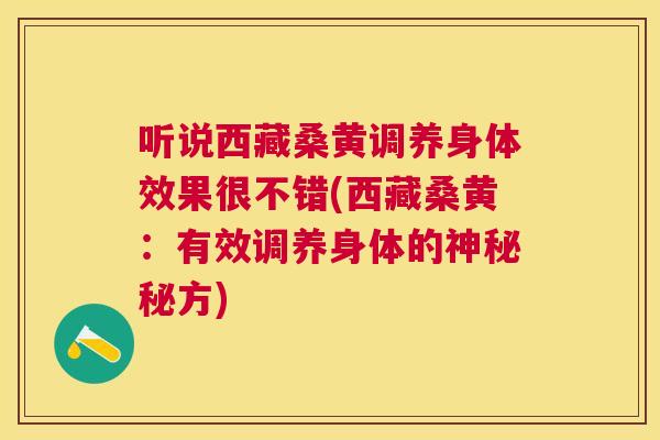 听说西藏桑黄调养身体效果很不错(西藏桑黄:有效调养身体的神秘秘方) 听说西藏桑黄调养身体效果很不错(西藏桑黄:有效调养身体的神秘秘方)
