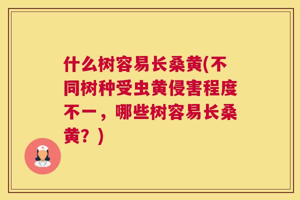 什么树容易长桑黄(不同树种受虫黄侵害程度不一,哪些树容易长桑黄?) 什么树容易长桑黄(不同树种受虫黄侵害程度不一,哪些树容易长桑黄?)
