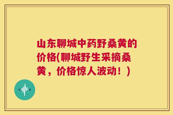 山东聊城野桑黄的价格(聊城野生采摘桑黄,价格惊人波动!) 山东聊城野桑黄的价格(聊城野生采摘桑黄,价格惊人波动!)