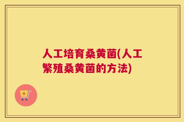 人工培育桑黄菌(人工繁殖桑黄菌的方法) 人工培育桑黄菌(人工繁殖桑黄菌的方法)
