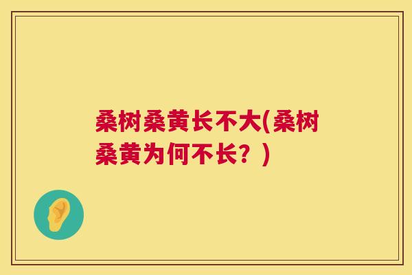 桑树桑黄长不大(桑树桑黄为何不长?) 桑树桑黄长不大(桑树桑黄为何不长?)