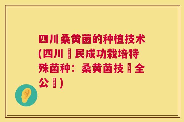 四川桑黄菌的种植技术(四川農民成功栽培特殊菌种:桑黄菌技術全公開) 四川桑黄菌的种植技术(四川農民成功栽培特殊菌种:桑黄菌技術全公開)