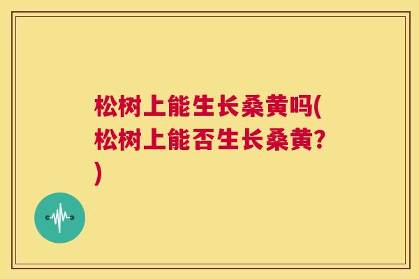 松树上能生长桑黄吗(松树上能否生长桑黄?) 松树上能生长桑黄吗(松树上能否生长桑黄?)